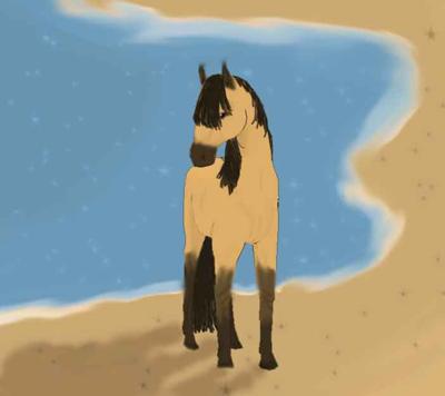 A digital drawing of a buckskin horse standing on a beach with the ocean on the viewers left side.