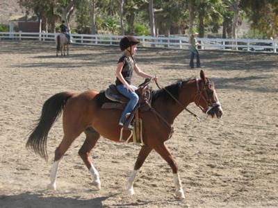 Western horseback riding