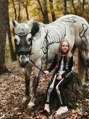 Skeletons in my backyard 