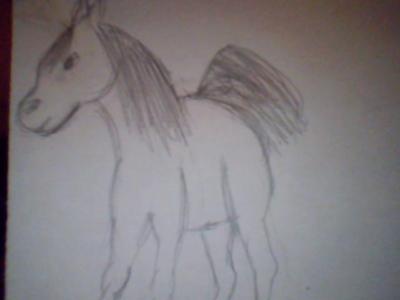 A sketched horse