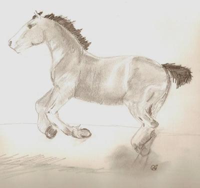 A pencil drawing of a Clydesdale horse catering away and kicking up dust.