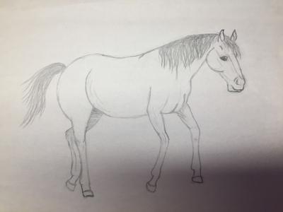 A pencil drawing of a horse in motion.