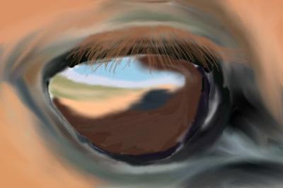 A drawing of a chestnut horse's eye. You can see the reflection of sand, grass, sky, and clouds in the horse's eye.