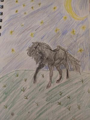 A drawing of a black horse walking across grass at night. There are stars and the moon in the background.