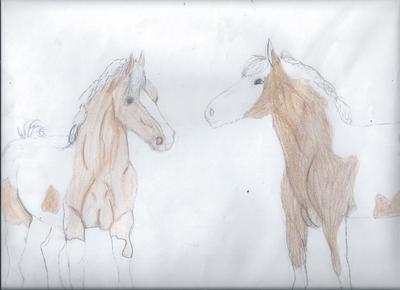 A drawing of two horses facing each other. Both are paints with white coats and light brown patches.