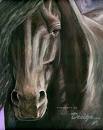 Spirit Horse
