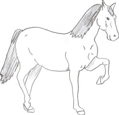 A pencil drawing of a horse trotting.