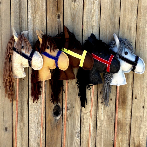 Handmade Stick Horses for horse themed party