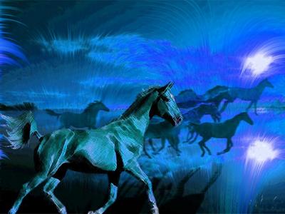 horses in the night