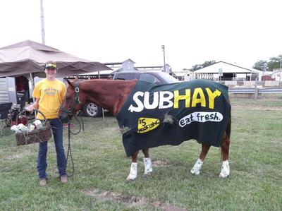 A horse wearing a green cloth that says Subhay on it.