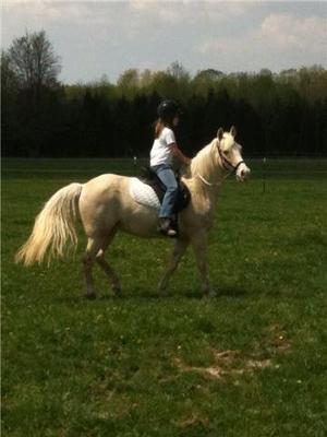 Me and my horse riding in the field