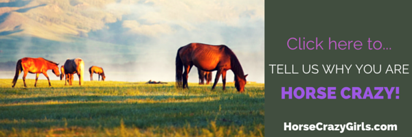 Image of horses grazing with the text click here to tell us why you are horse crazy