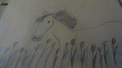 The horse in the story of the lost horse