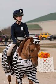 Shauna's prisoner horse costume