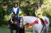 Beauty and Beast horse costume