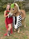 Beetlejuice Beetlejuice Beetlejuice horse Halloween costume