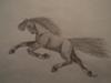 Witch's Broom Horse