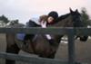 This is Dash. He is the sweetest horse I've ever met. He is a Thoroughbred. I ride him in my lessons. He is my favorite lesson horse. <3