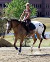 The Buskin horse.