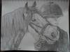 Person with horse