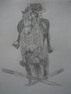 Horse jumping