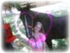 Here is my old horse who got put down last  summer. :c She was a tennesse walking horse. Her name was Lady. I miss her.. :c
