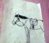 a horse drawing