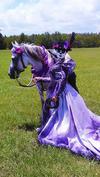 Purple Sugar Skull Bride Horse Costume
