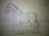Drawing 1