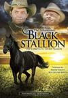 The Adventures of the Black Stallion Season 3
