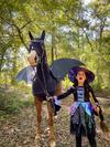 The witch and her bat in the haunted woods