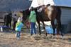 Touche'- Hope this gives you a good view of his saddle.