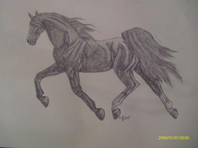 A pencil drawing of a horse trotting.