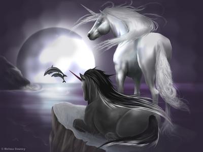 When The Dark and Light Unicorns Used To Be One