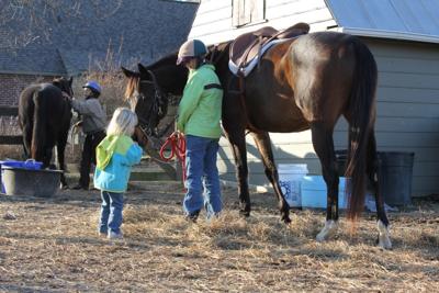 Touche'- Hope this gives you a good view of his saddle.