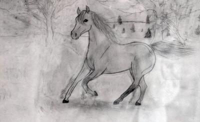 A pencil drawing of a horse cantering through a field. There is a bunch of different trees in the background.