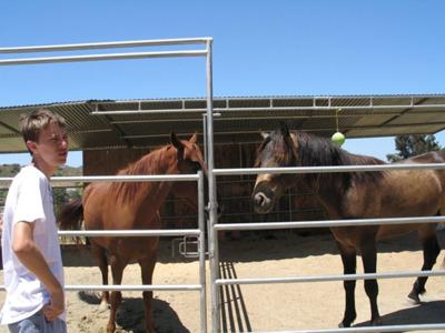 Ranger and Hecules (and my cousin)