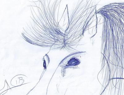 A drawing done in blue pen of the upper portion of a horse's head. You can see the horse's ears, eyes, forelock, and a little bit of the neck, mane, and face. Artists signature is in the left corner.