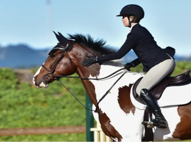 Image from Equestrian Fitness of a woman riding a pinto horse