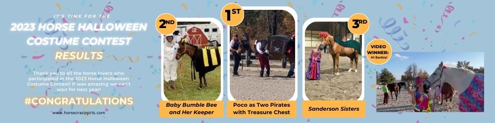 horse halloween costume contest winners 2023 banner