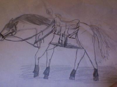 A pencil drawing of a horse wearing a western saddle, saddle pad, polo wraps, a bridle, a martingale, and a breast collar.