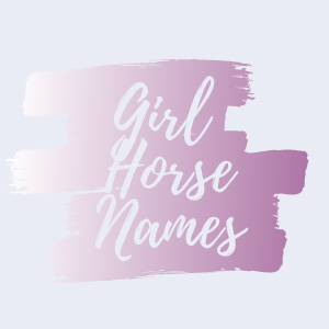 Graphic that says girl horse names.
