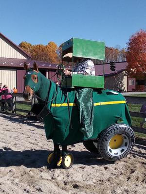 horse halloween costume horse dressed up like john deere tractor