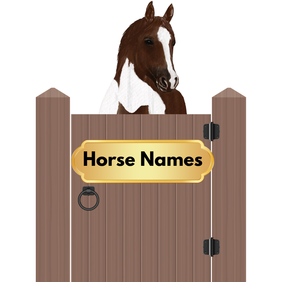 A horse in a stall with the words horse names