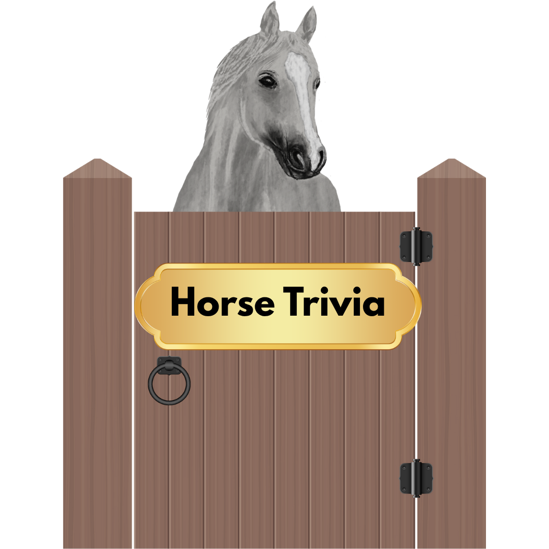 A horse in a stall with the words horse trivia