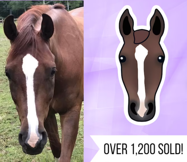A custom horse head sticker by PurplePuggo on Etsy. It shows a chestnut horse with white stripe on the left side and the horse's face as a sticker on the right side with the text over 1,200 sold.