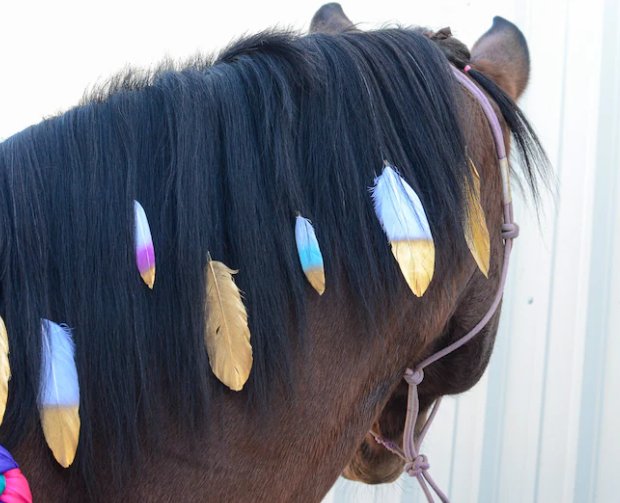 A horse whose mane is filled with feathers.