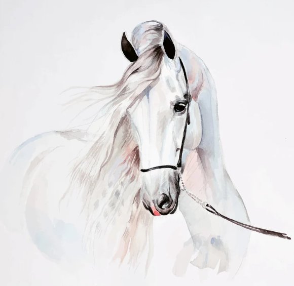 Horse wall decal by 4loftwalldecor on Etsy. It shows a white horse head and part of the front of the horse's body. The horse is wearing a black halter and lead rope.