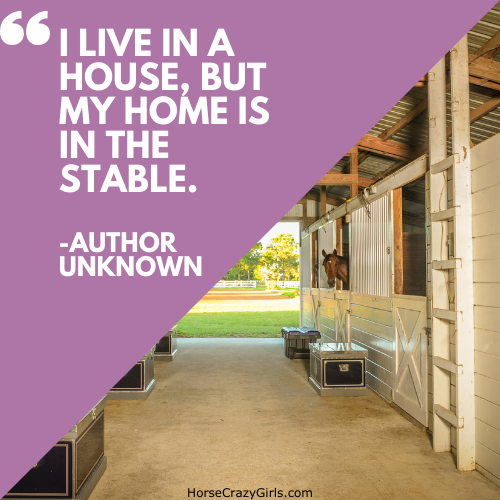 A picture of a stable with the quote "I live in a house, but my home is in the stable." -Author Unknown