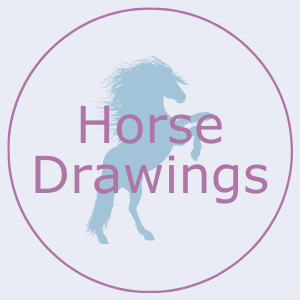Button that says horse drawings. This links to the horse drawings page.